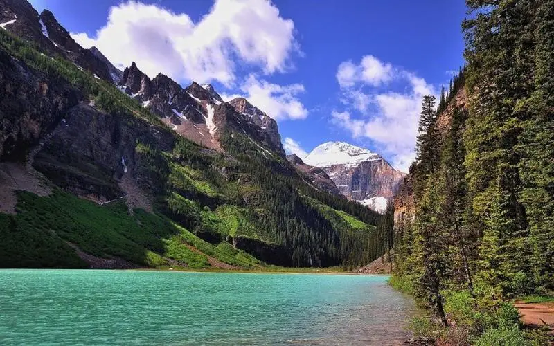 智能化无人化